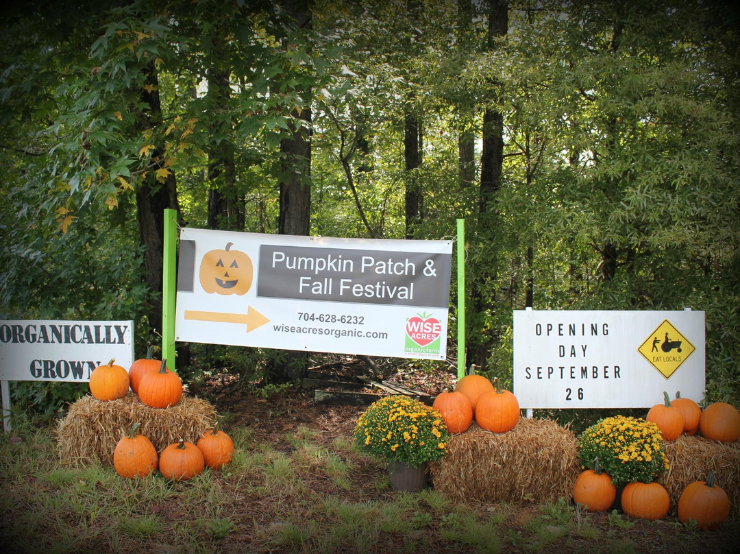 Wise Acres Organic Strawberry Farm-Indian Trail必去景点