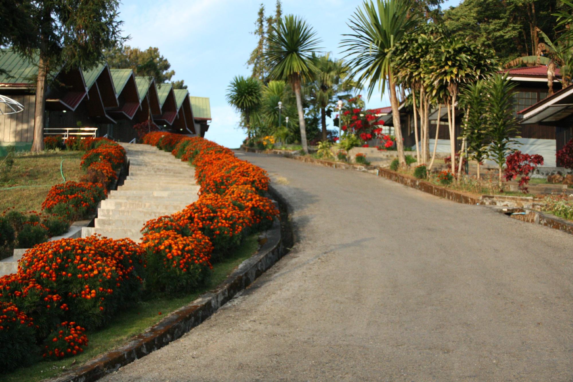 Golden Butterfly Hotel-客卧