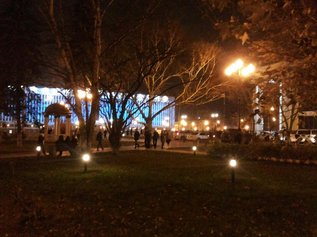 Chekhov Sakhalin International Theatre Center景点图片