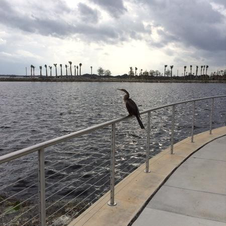 Kissimmee Lakefront Park-基西米必去景点