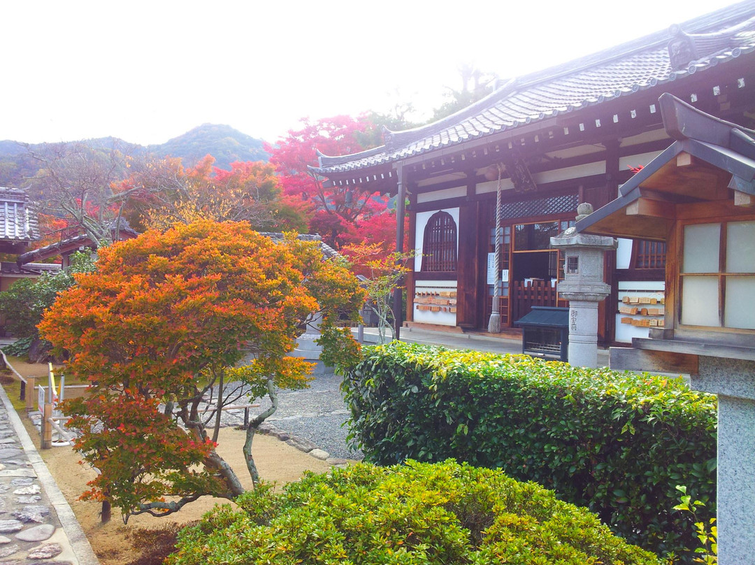 Kogenji Temple景点图片