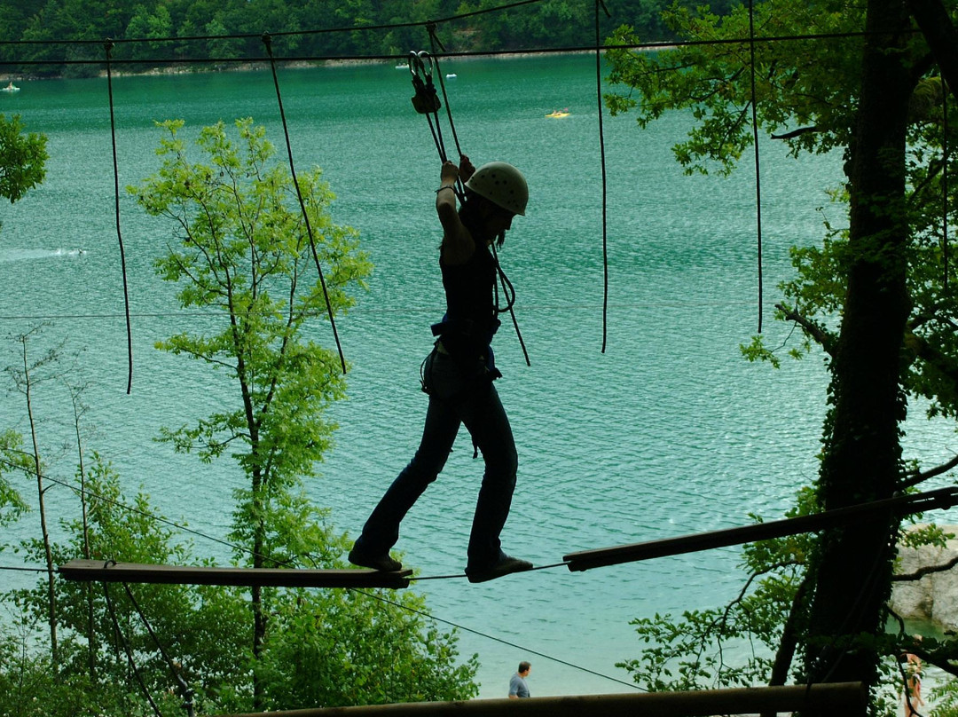 Jura Monkey Forest景点图片