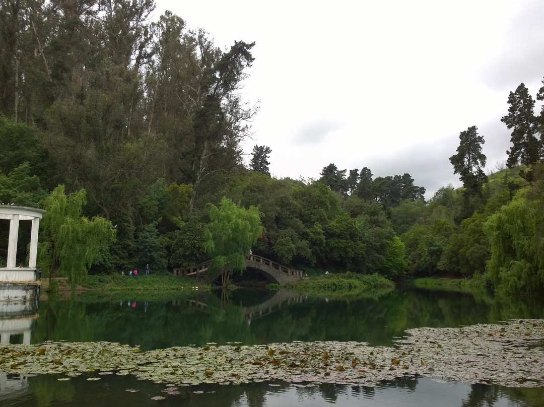 Jardín Botanico Nacional-比尼亚德尔马必去景点