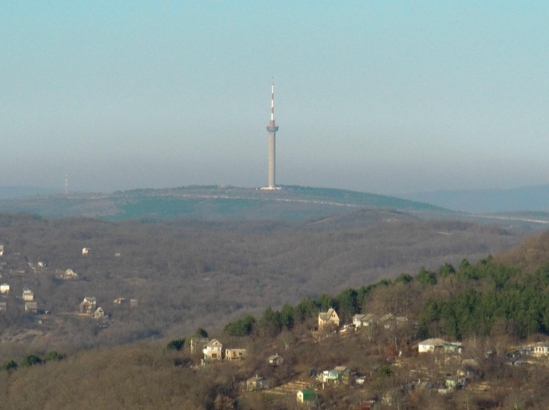 Novorossiysk TV Tower-Novorossiysk必去景点