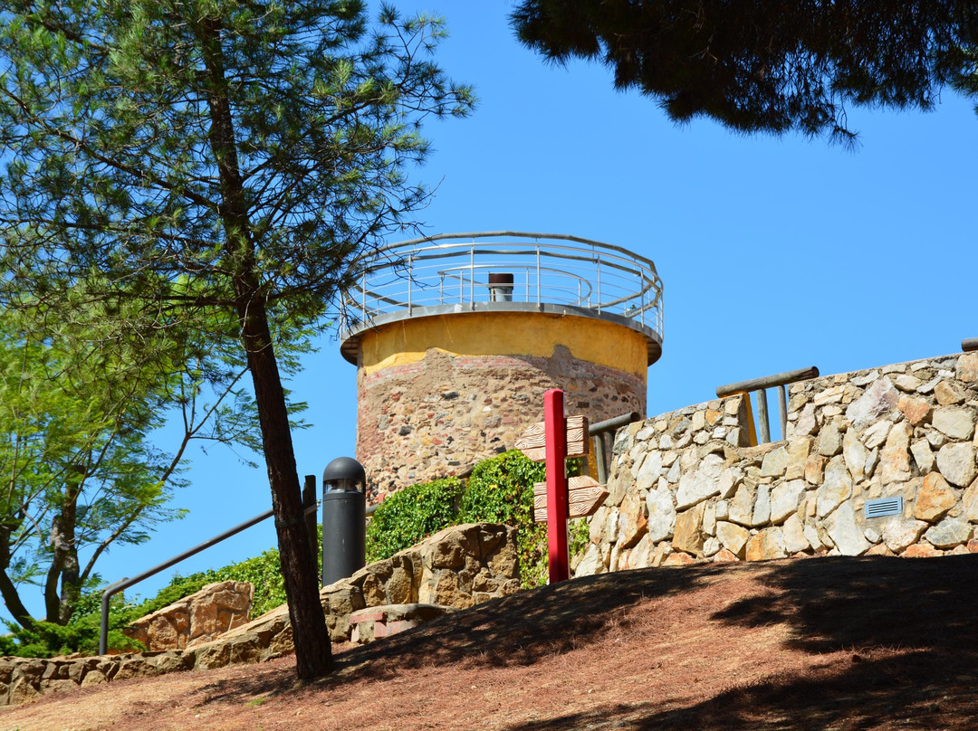 Parc del Castell景点图片
