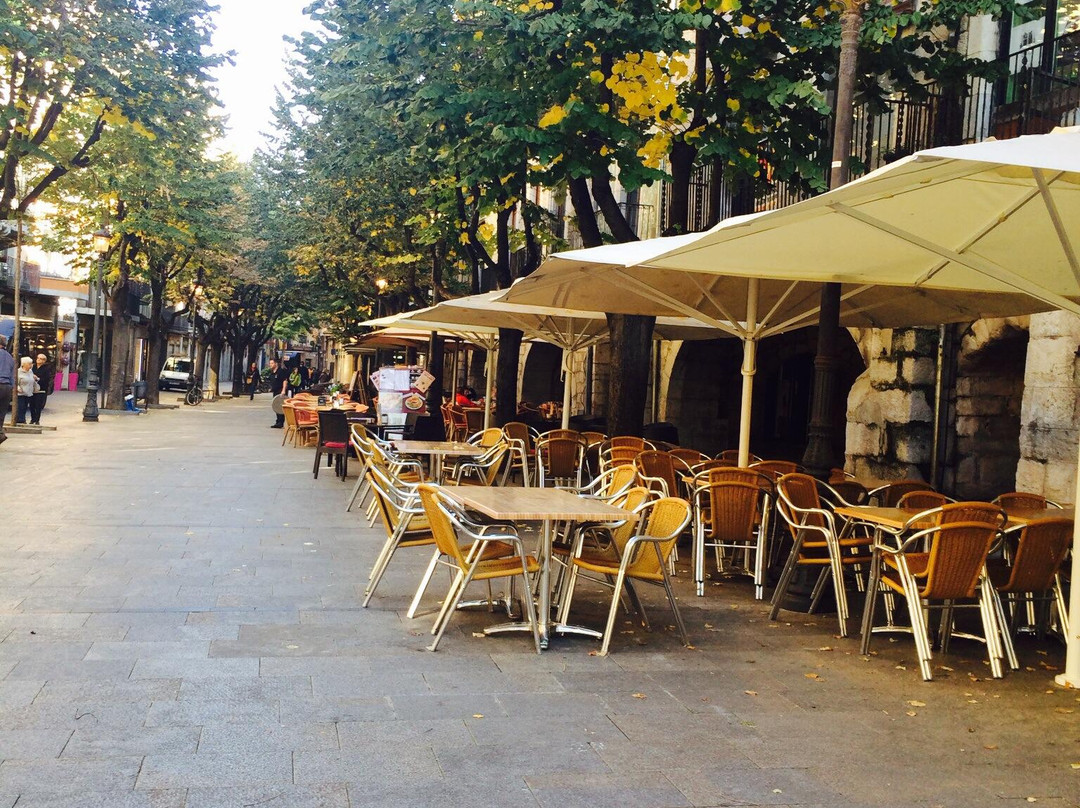 Rambla De La Llibertad景点图片