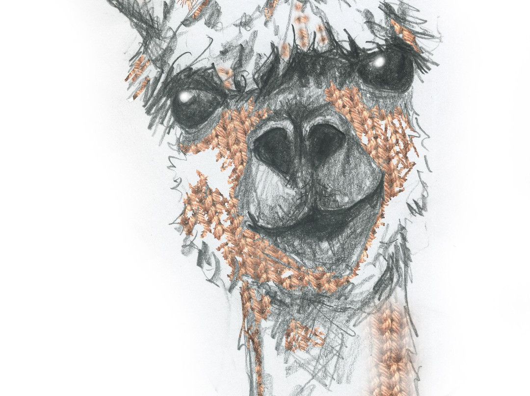 Alpacaly Ever After景点图片