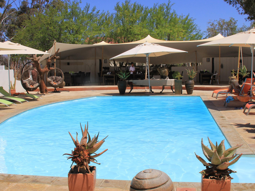 Inverdoorn Private Game Reserve-开普敦中心区必去景点