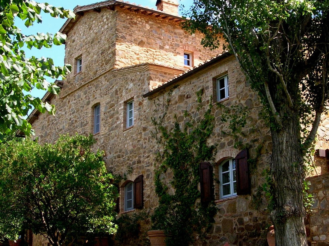 Máté Winery-蒙塔尔奇诺必去景点