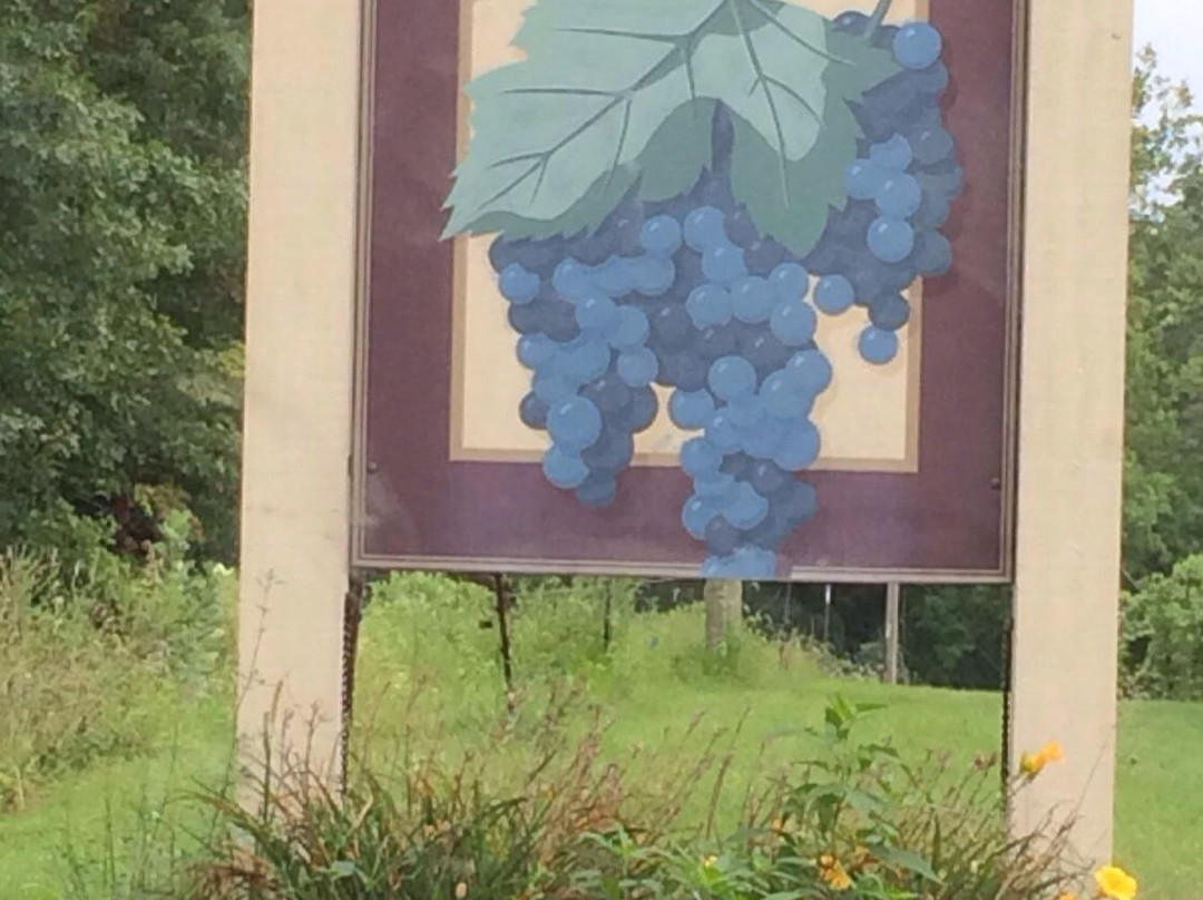 Butler Winery-布卢明顿必去景点