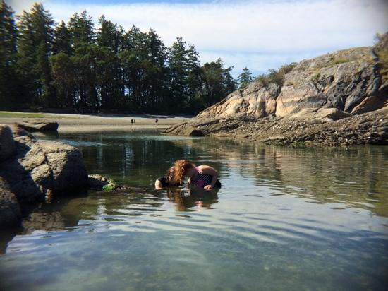 Mansons Landing Provincial Park-Mansons Landing必去景点