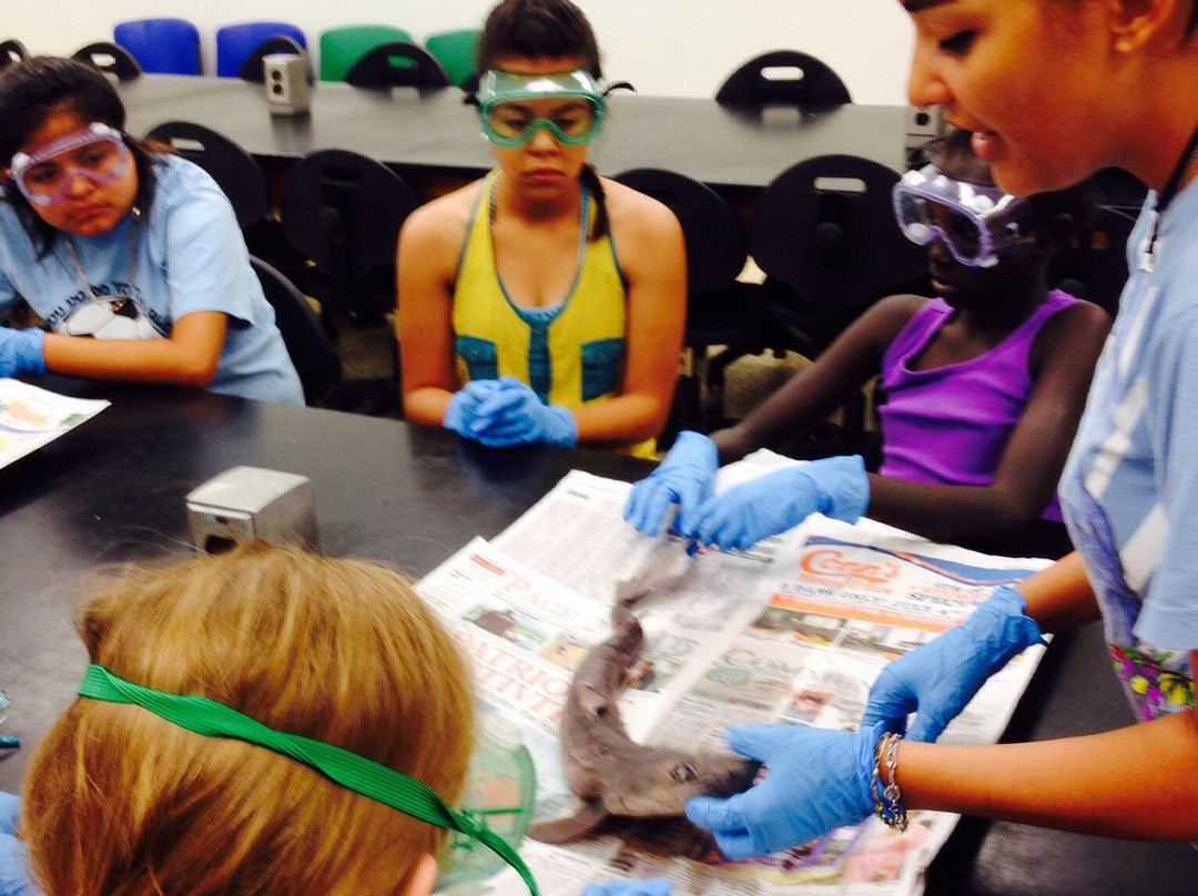 University of Texas - Pan American Coastal Studies Lab-南帕诸岛必去景点