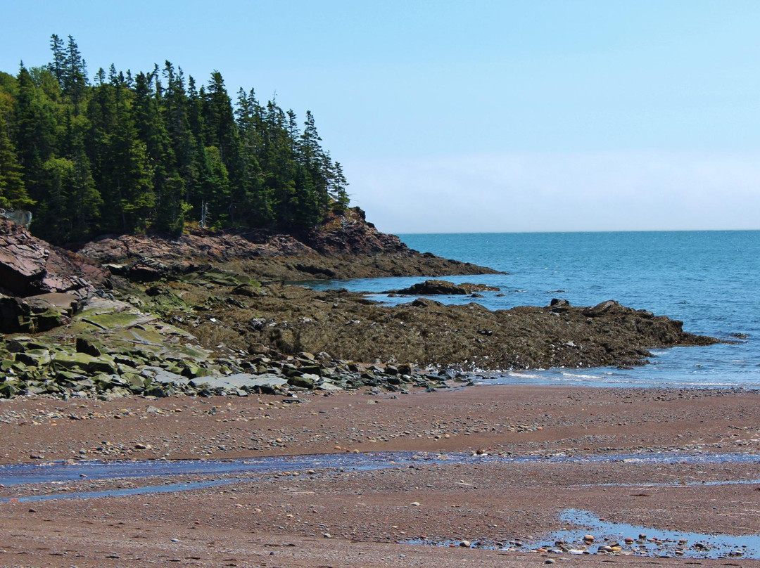 Herring Cove Provincial Park景点图片