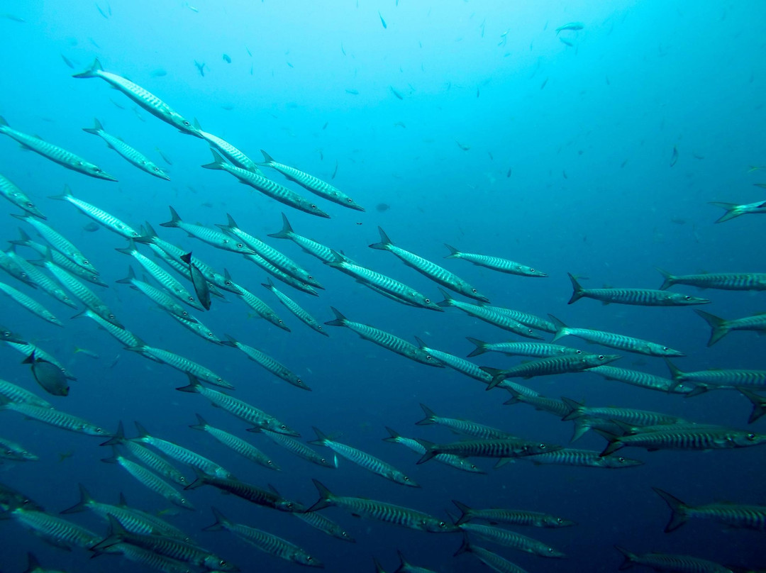探索潜水中心-波普特必去景点