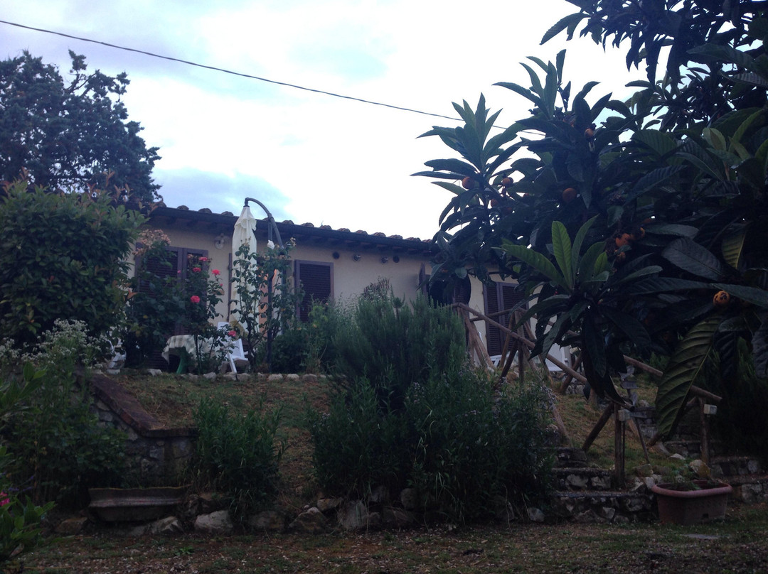 Casa Vacanze in Geggiano