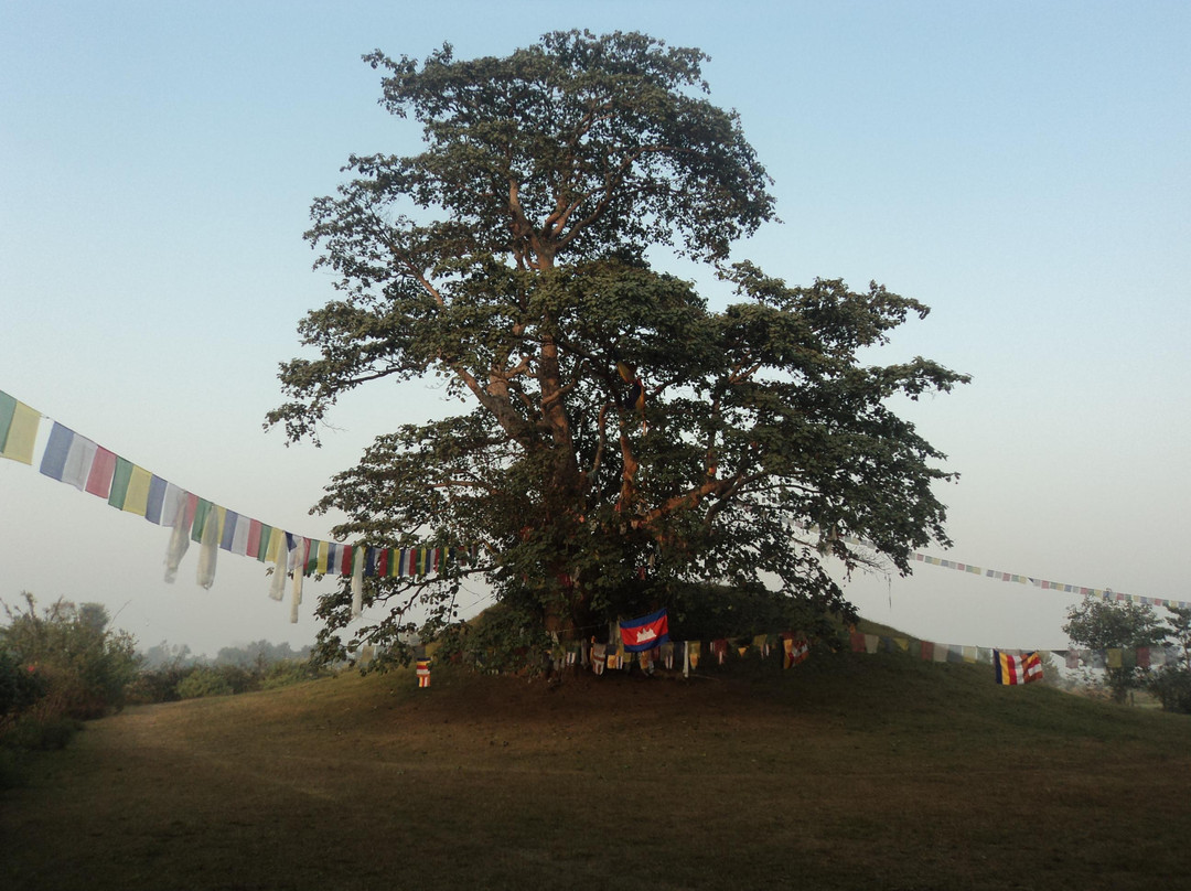Ramgram Stupa景点图片
