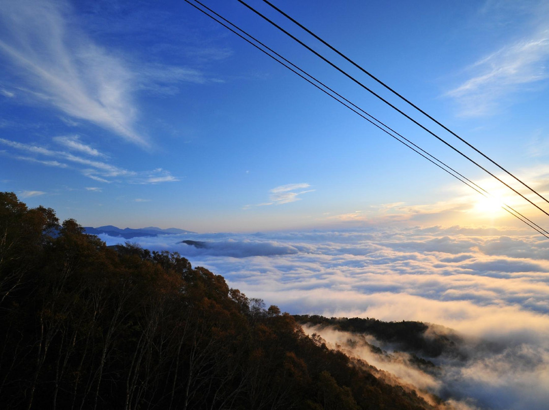 Ryuoo Ski Park景点图片