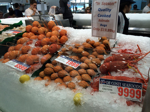 悉尼鱼市场-悉尼必去景点