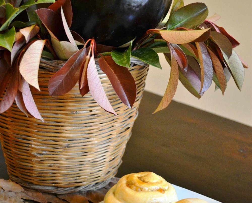 A Casa Di Nonna Gisa-莫迪卡必去景点