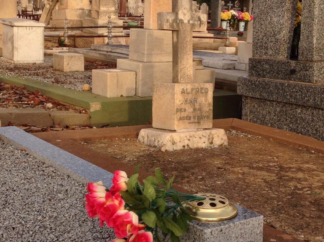 West Terrace Cemetery景点图片