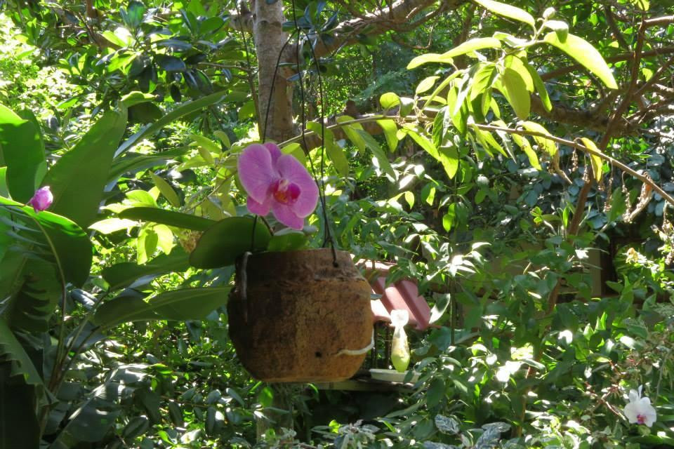 Pousada Pau Brasil Ubu主图