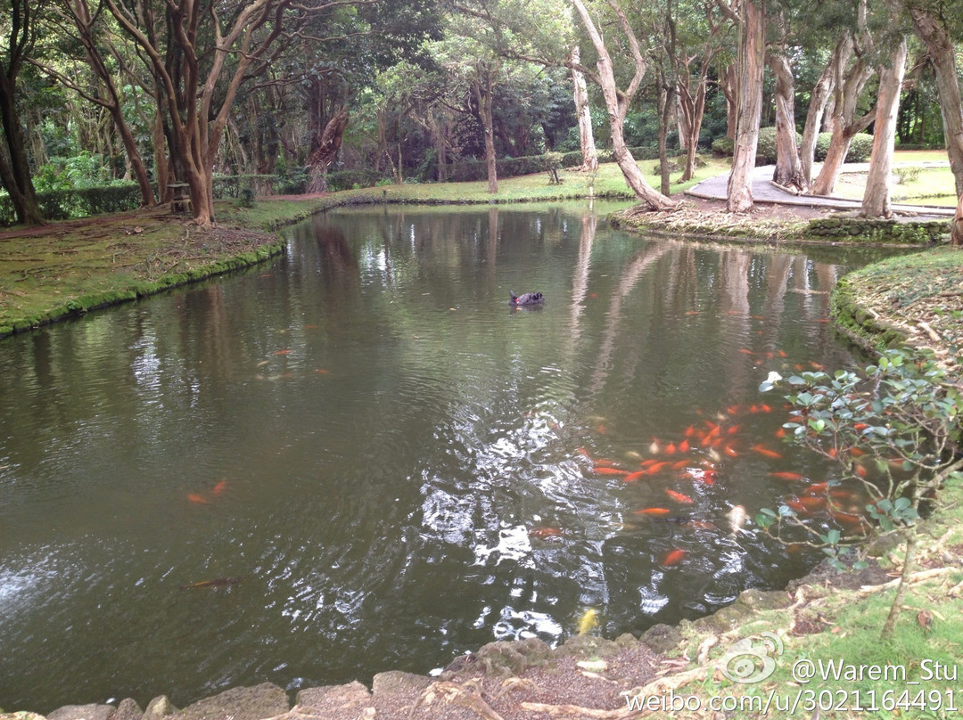 山谷神庙-卡内奥赫必去景点