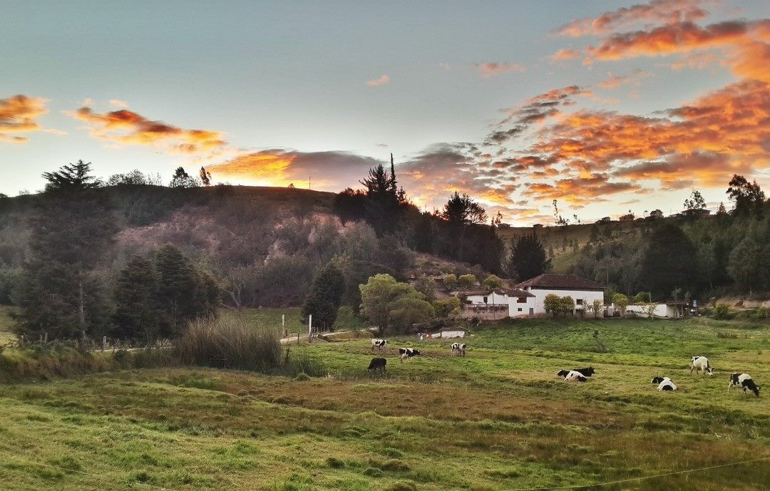 Centro Ecuestre Bellavista景点图片