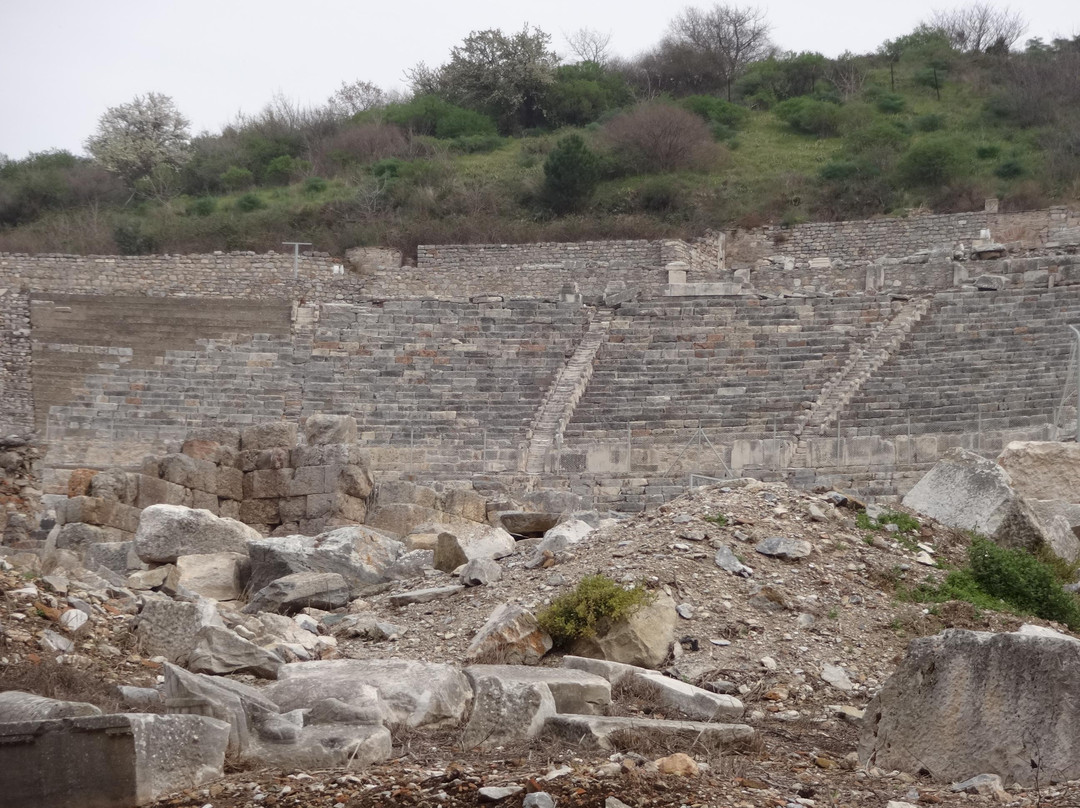 Efes Antik Kenti Tiyatrosu景点图片