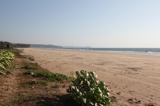 Guhagar Beach景点图片