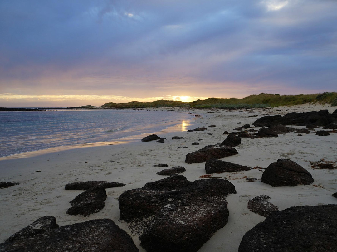 Tower Hill House主图