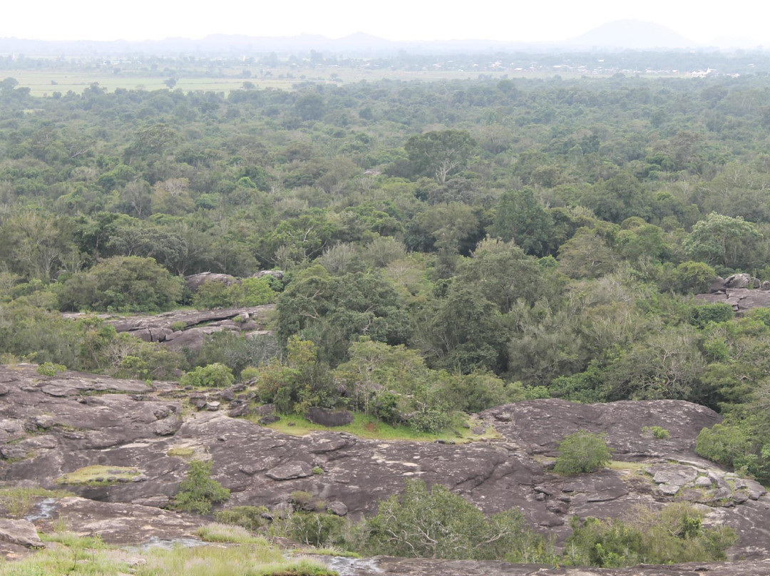 Buddhangala Monastery-Ampara必去景点