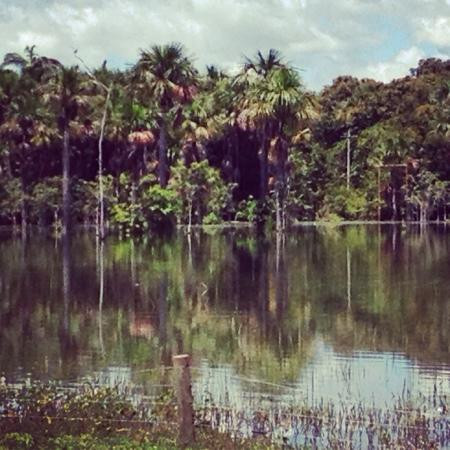Lagoa das Araras景点图片