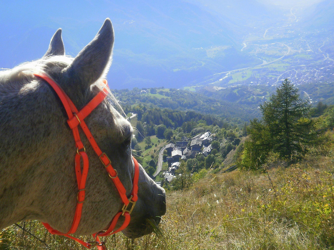 Cavallo e Natura景点图片