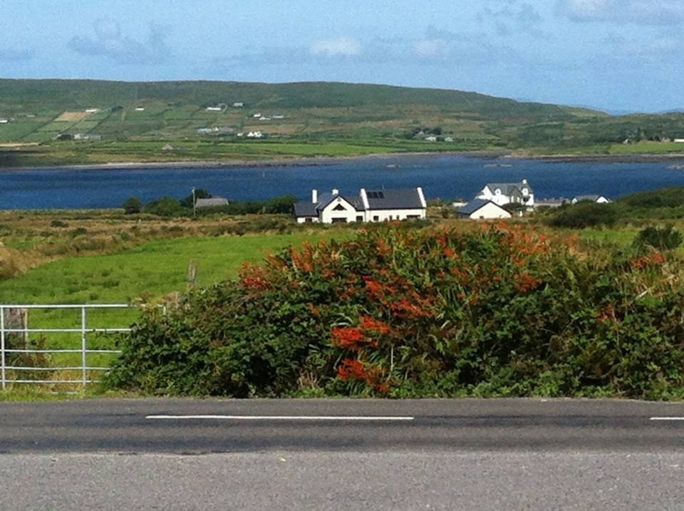 Ocean View B&B主图