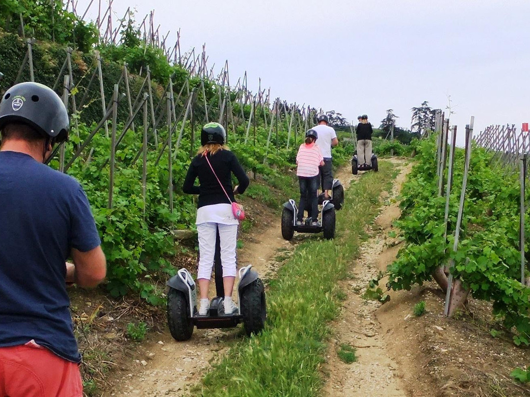 Mobilboard Condrieu La Presquile景点图片