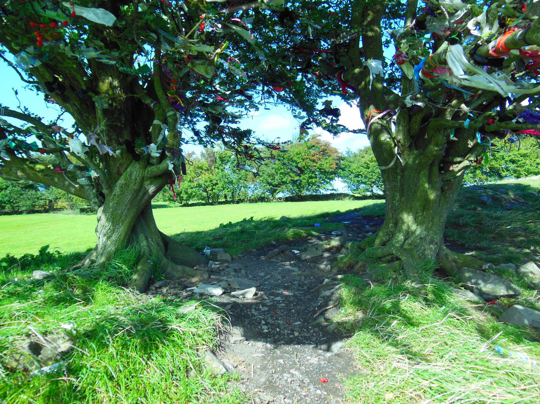 Day Tours Dublin-都柏林必去景点