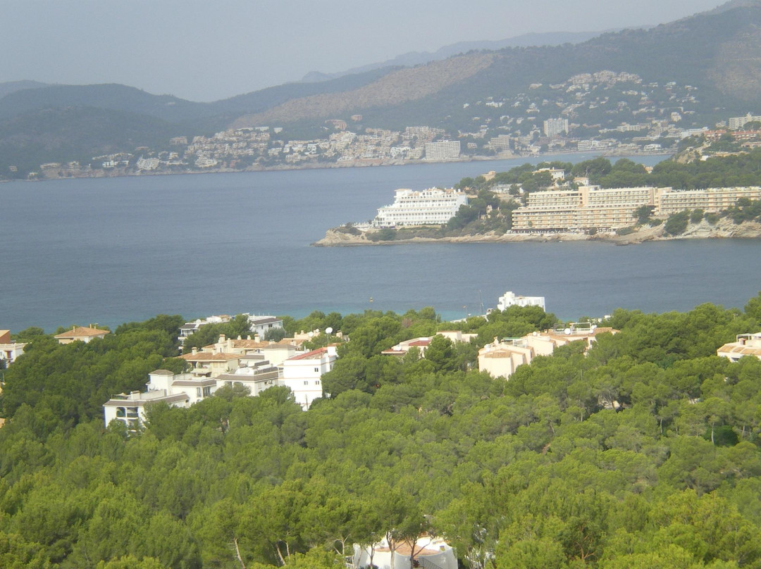 Parque Arqueologico Puig de Sa Morisca-圣庞沙必去景点