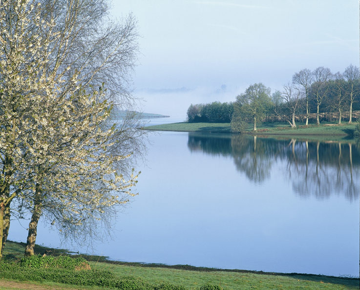 Cedar Gables Campsite