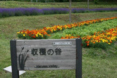 泷野铃兰丘陵公园-札幌市必去景点