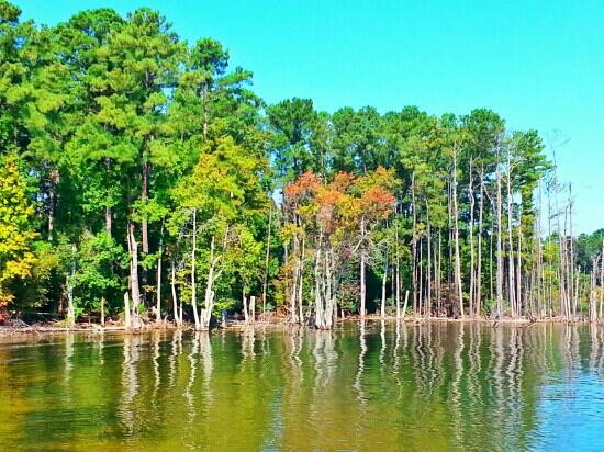 Lake Murray-南卡罗来纳必去景点