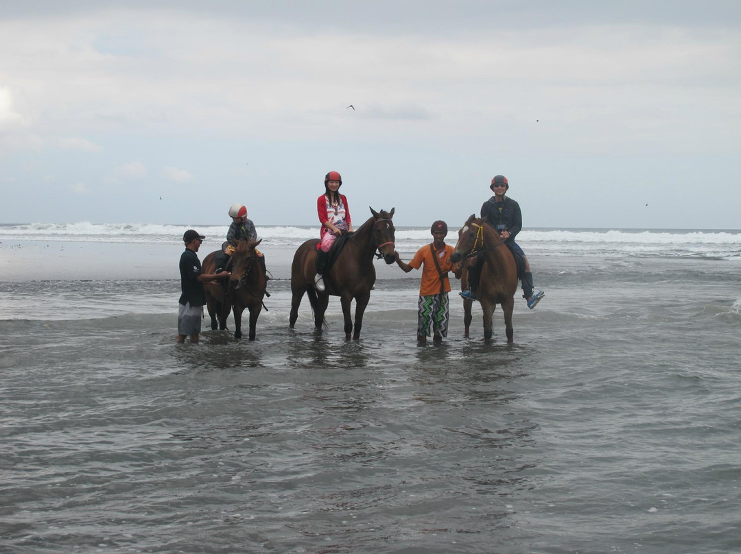巴厘岛骑马游沙滩-达巴南必去景点