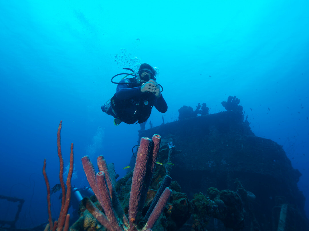 Divers Republic-Sint Willibrordus必去景点