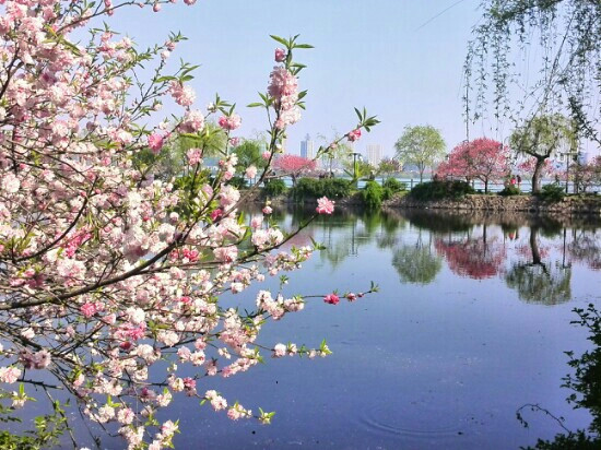 蠡园景点图片