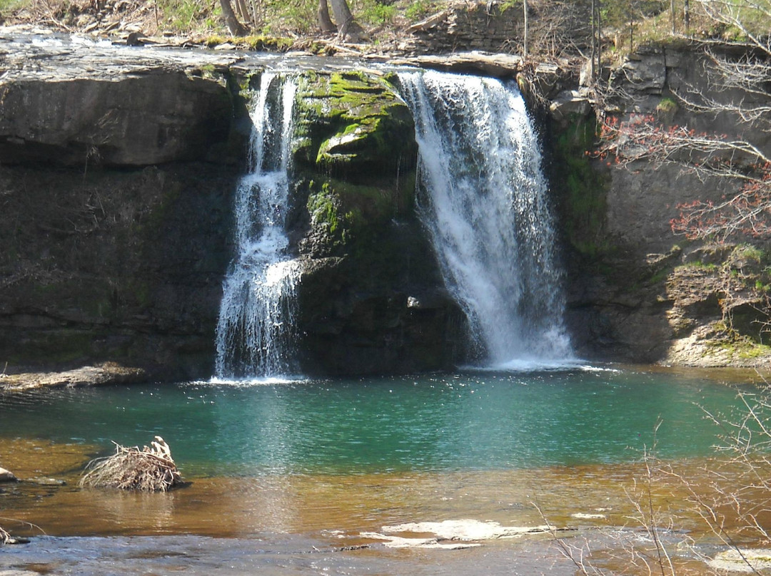 Tumblin' Falls B&B主图