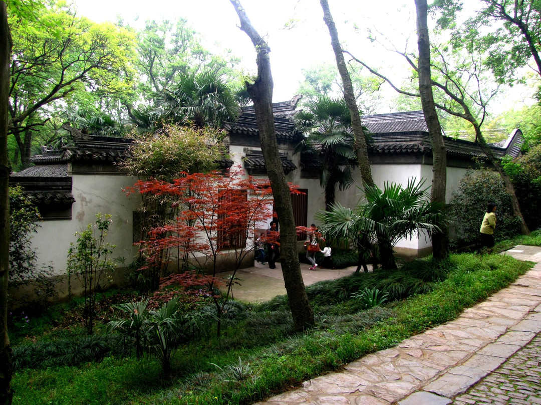 紫金山-南京市必去景点