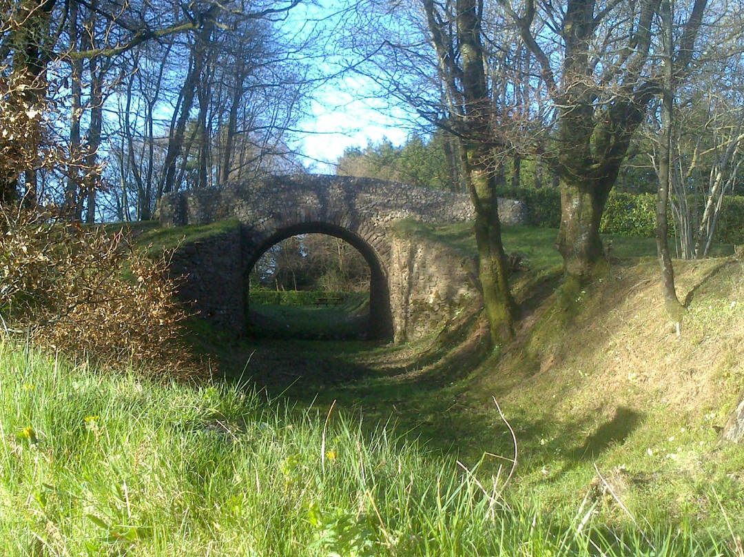 Haldon Belvedere (Lawrence Castle)景点图片