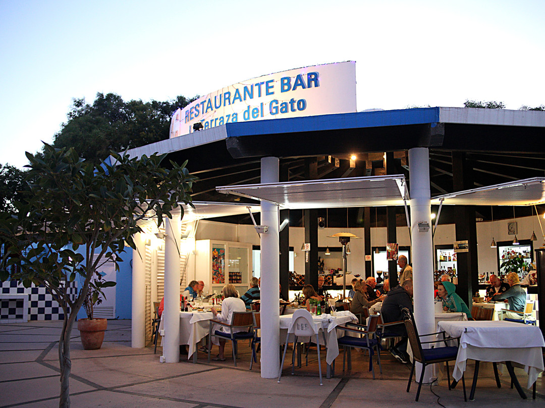 Restaurante Terraza del Gato主图