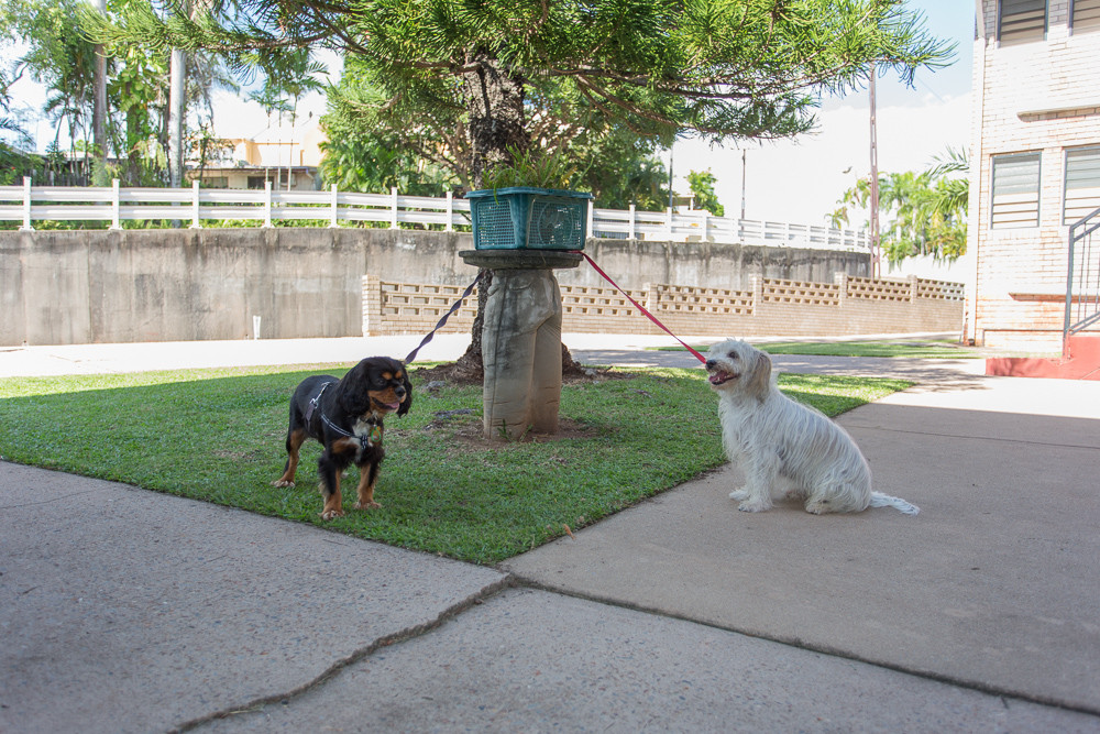 贝洛蒙迪旅舍主图