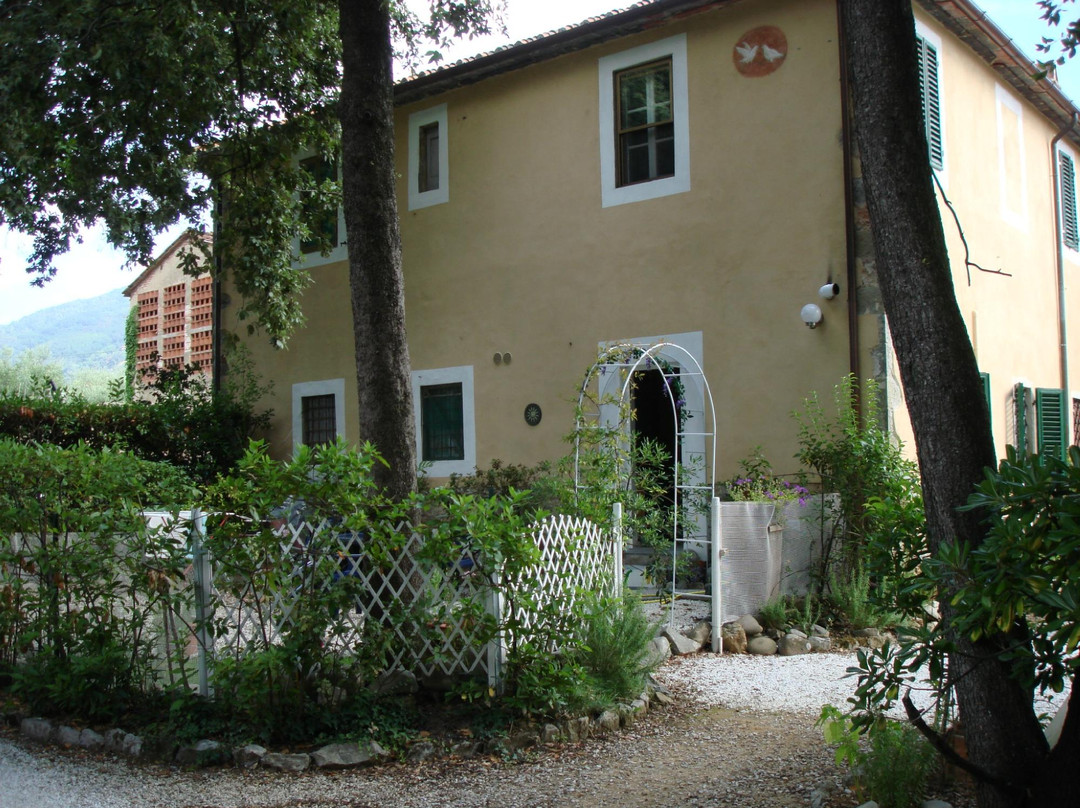Agriturismo I Cardellini主图