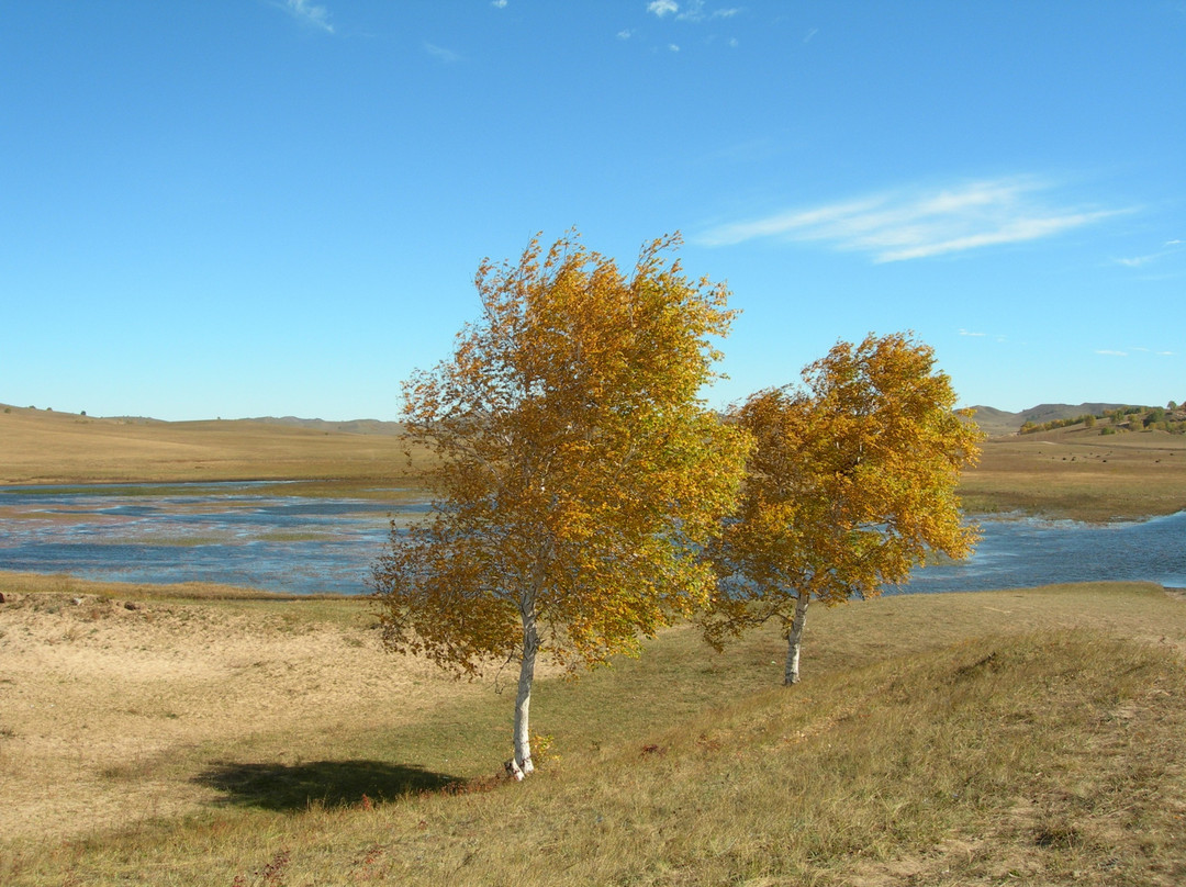 塞罕坝国家森林公园-围场县必去景点